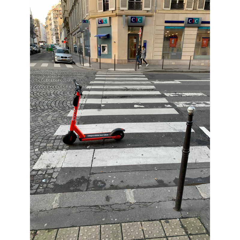 An escooter left on a pedestrian crossing
