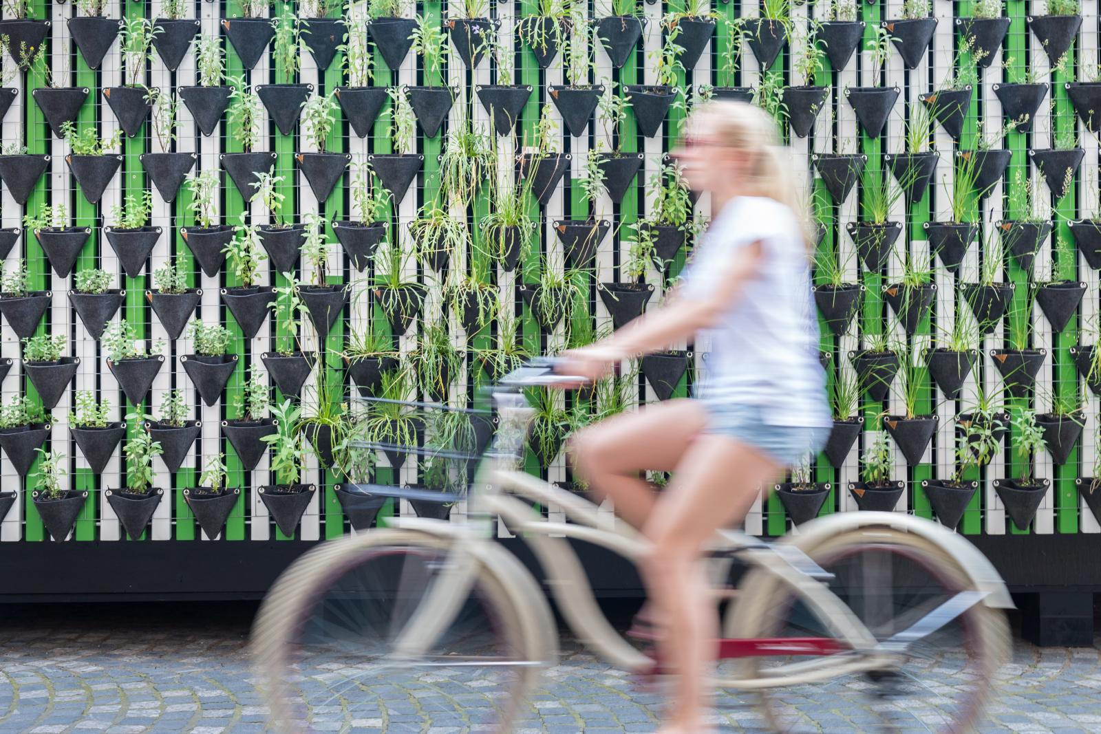 Woman cycling past a living wall